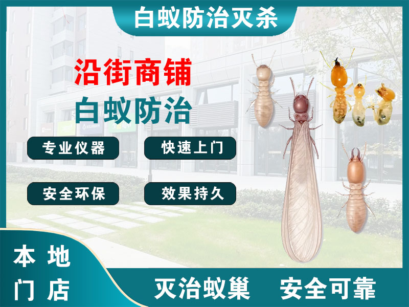 普陀区沿街商铺白蚁防治