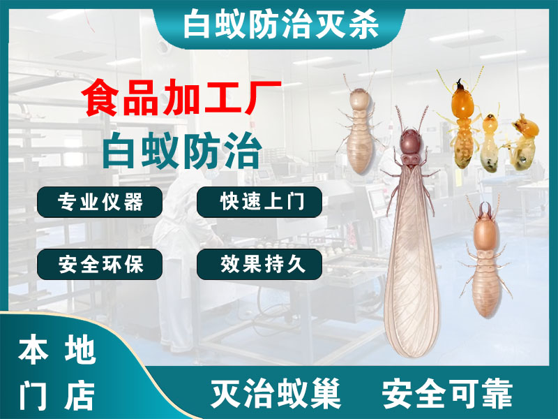 普陀区食品加工厂白蚁防治