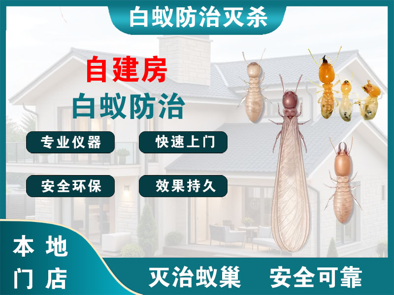 普陀区自建房白蚁防治