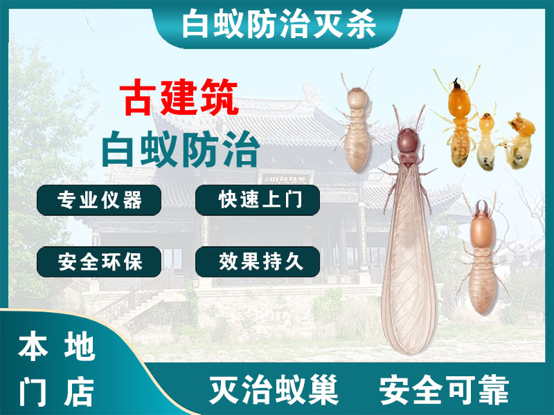 普陀区古建筑白蚁防治