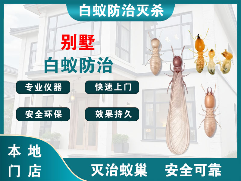 普陀区别墅白蚁防治